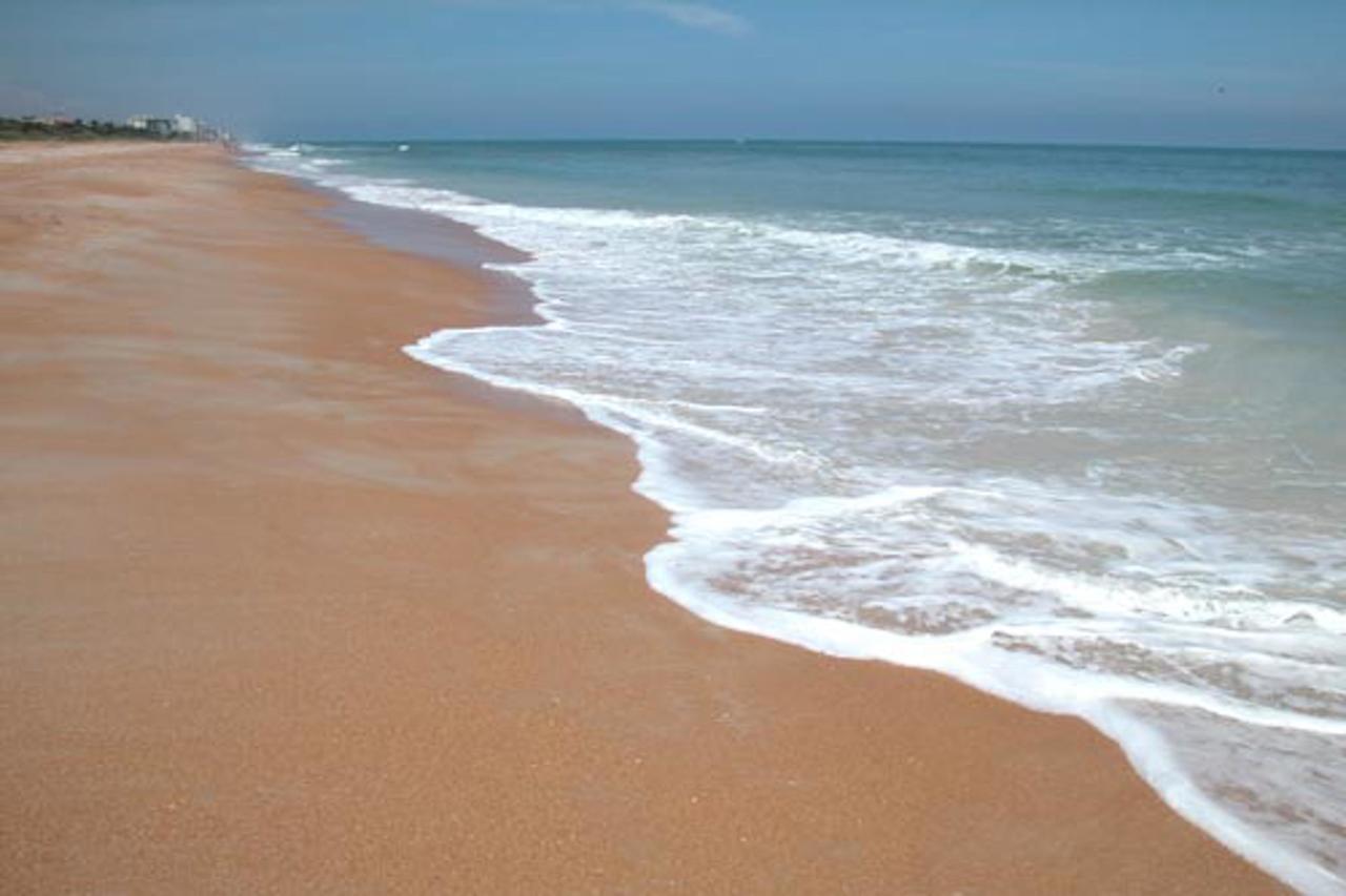 Ocean Watch Oasis & Atlantic Getaway Apartment Ormond-by-the-Sea Exterior photo