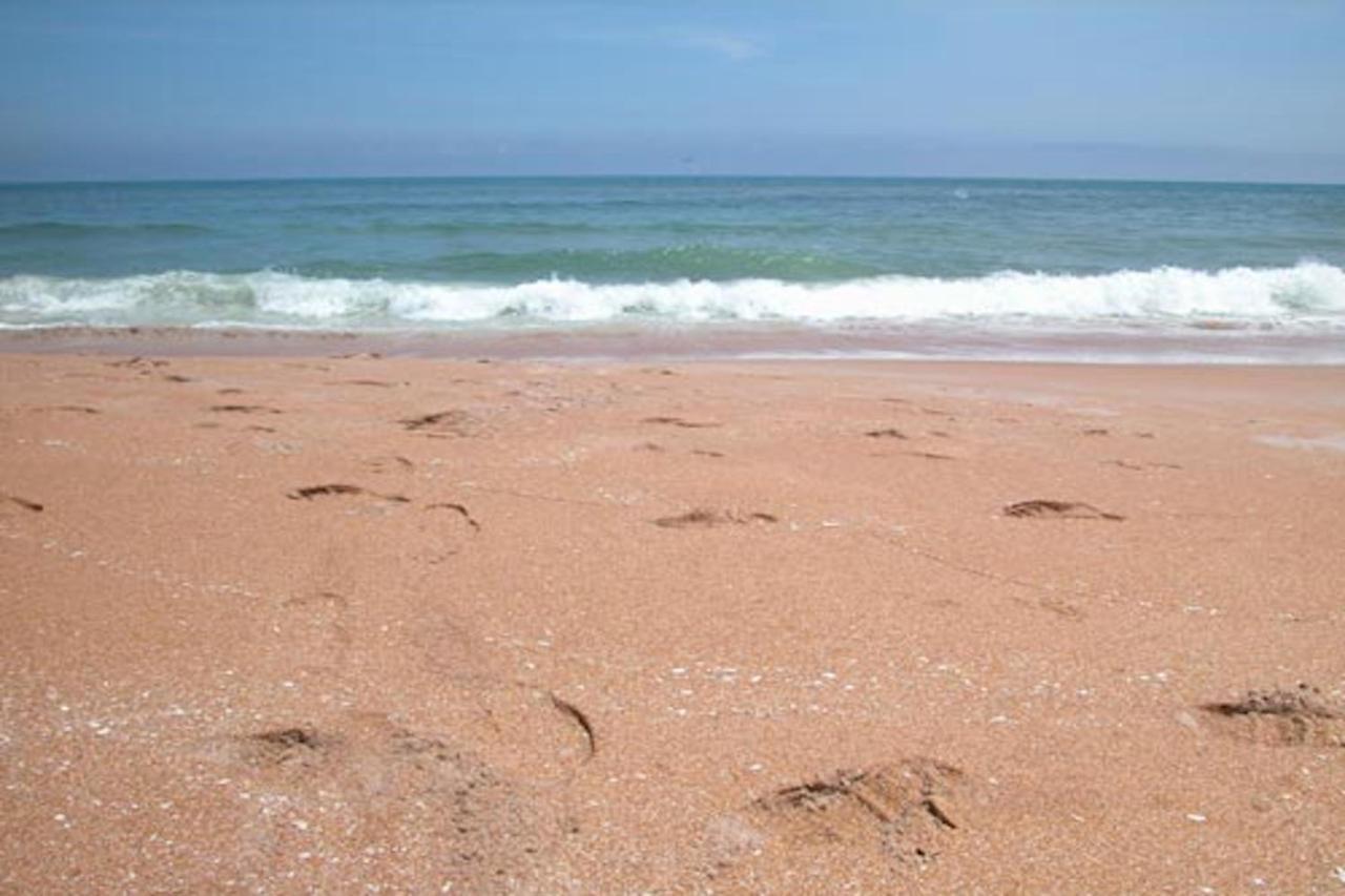Ocean Watch Oasis & Atlantic Getaway Apartment Ormond-by-the-Sea Exterior photo
